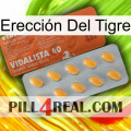 Erección Del Tigre 43